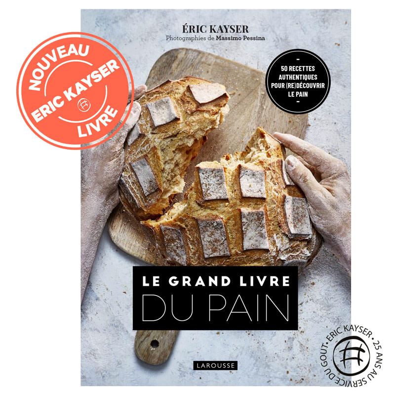 Download Grand Livre Boulangerie French ebook